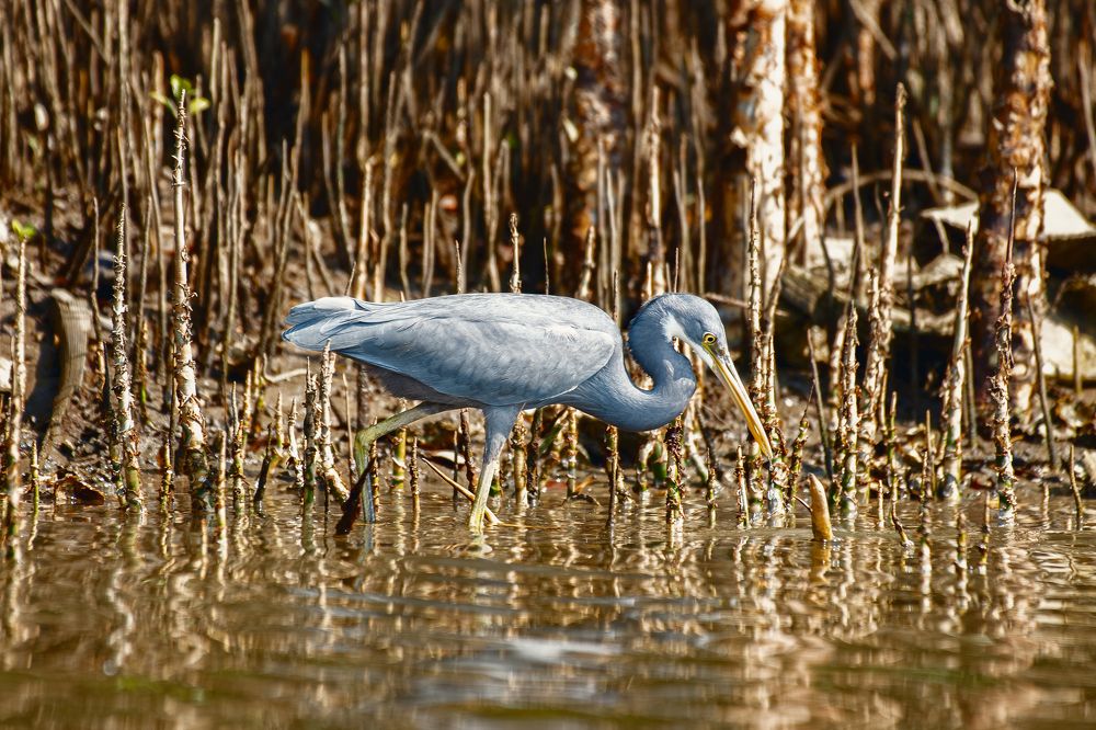 Photograph by Neeraj Gade