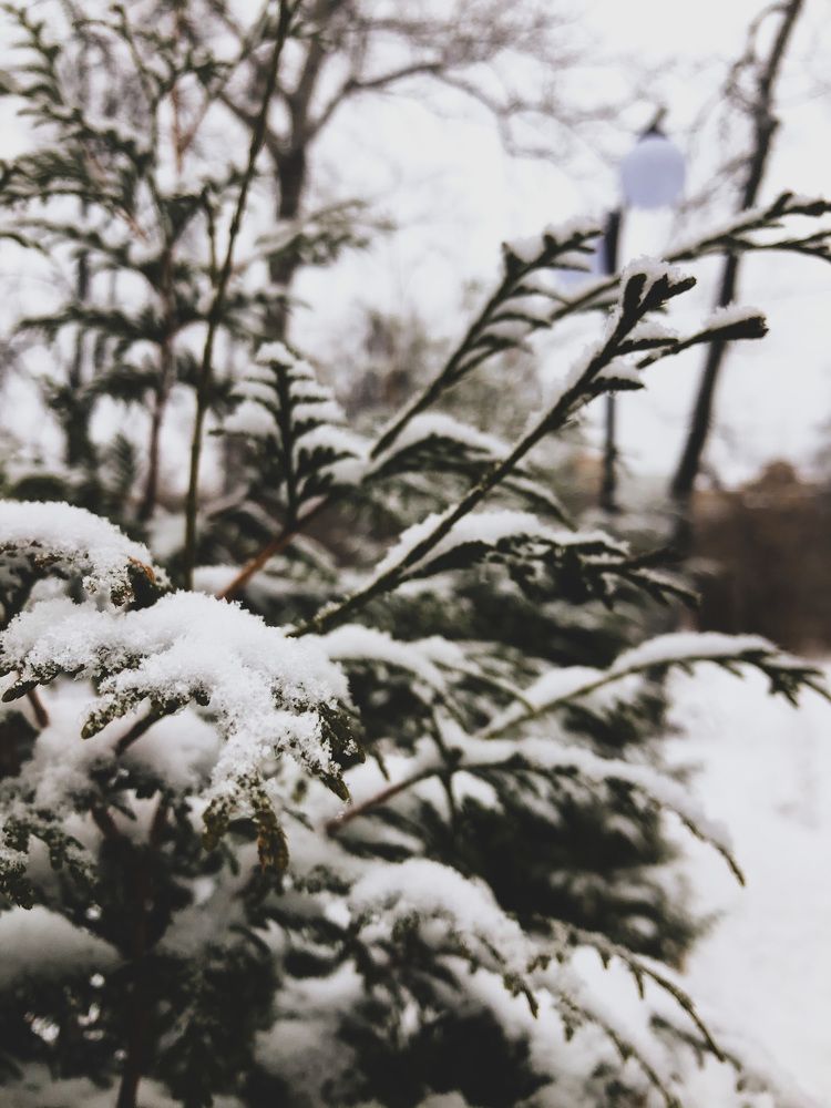 Photograph by Алена Жирова