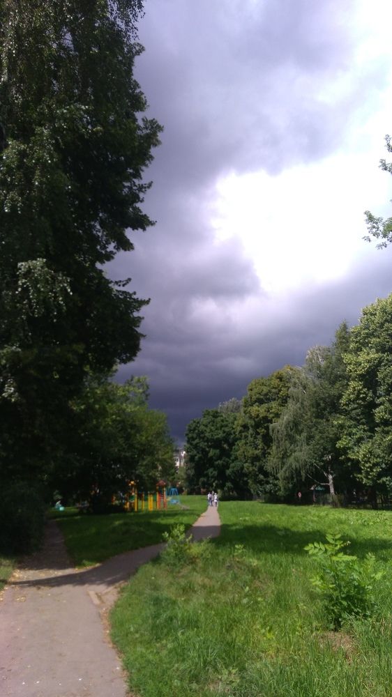 Photo #5607029