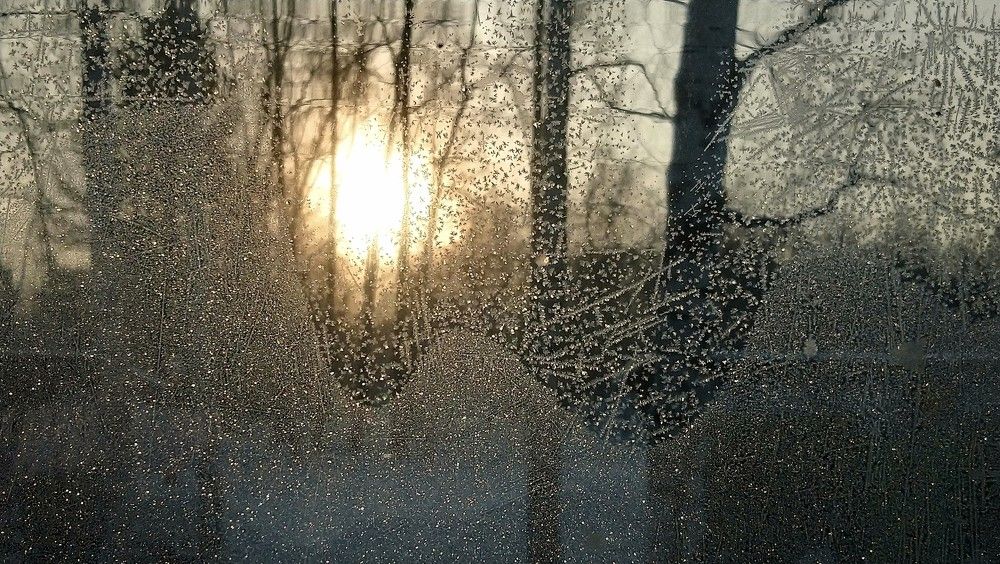 Зимнее солнце