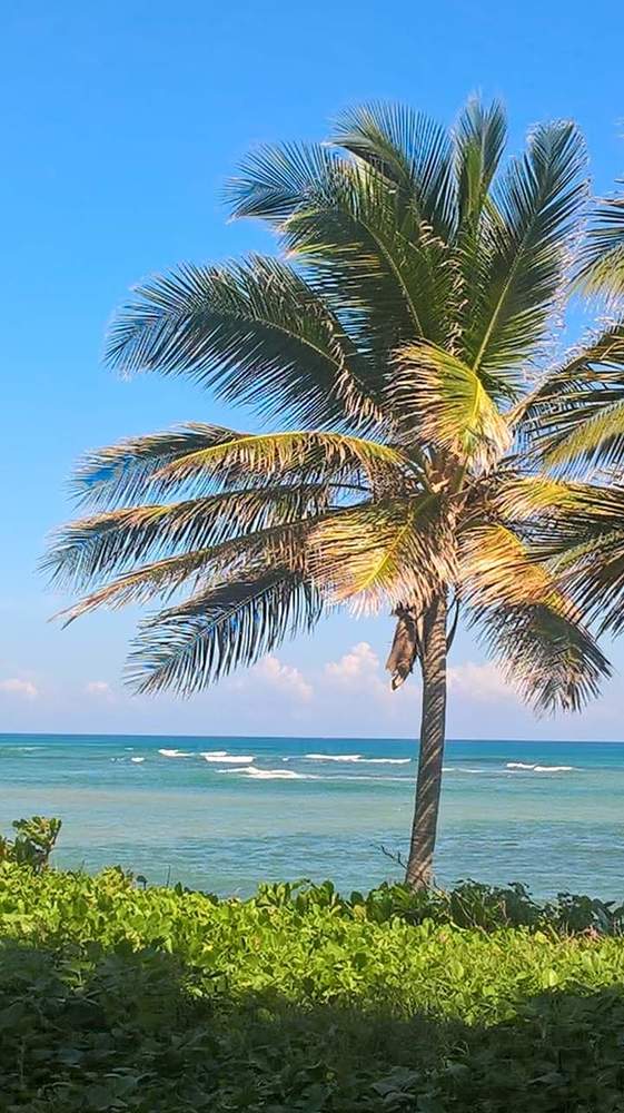 On my birthday this beauty is what i see.