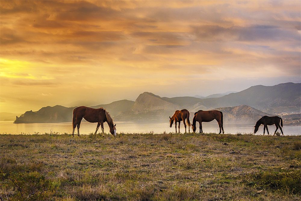Photograph by Альбина Колодяжная