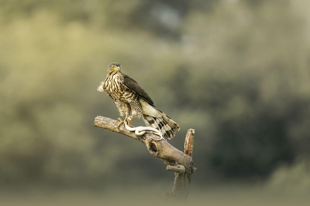 Look how beautiful it is here...