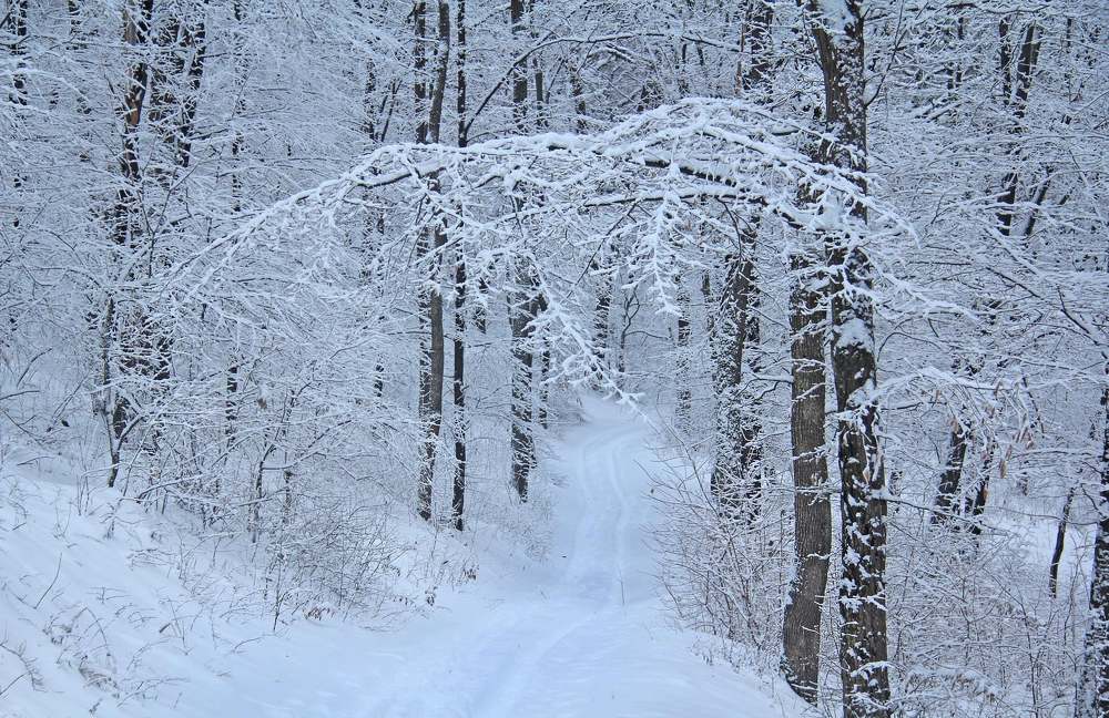 Photograph by Alexandr Dimitrov