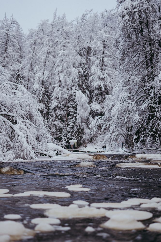 Photograph by Эльмира Чобан