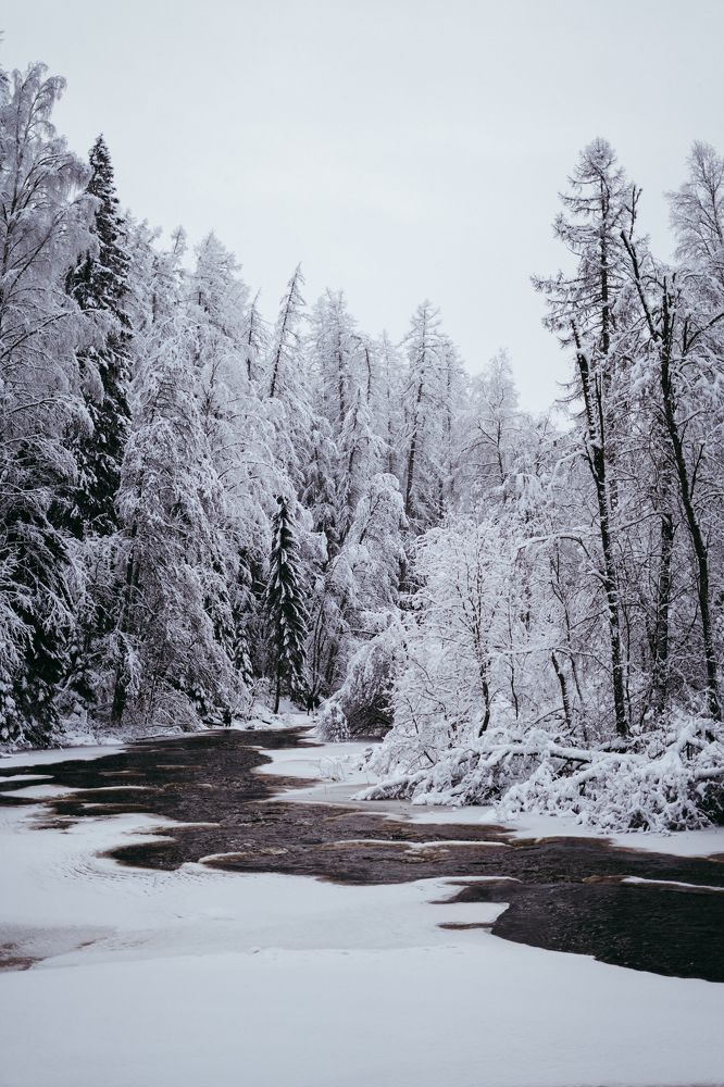 Photograph by Эльмира Чобан