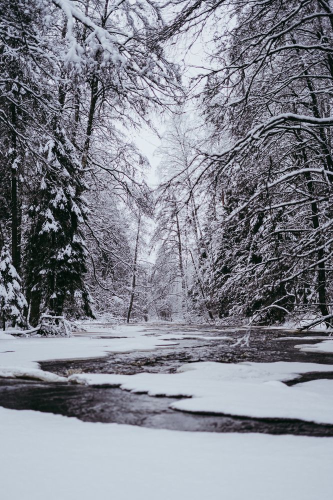 Photograph by Эльмира Чобан