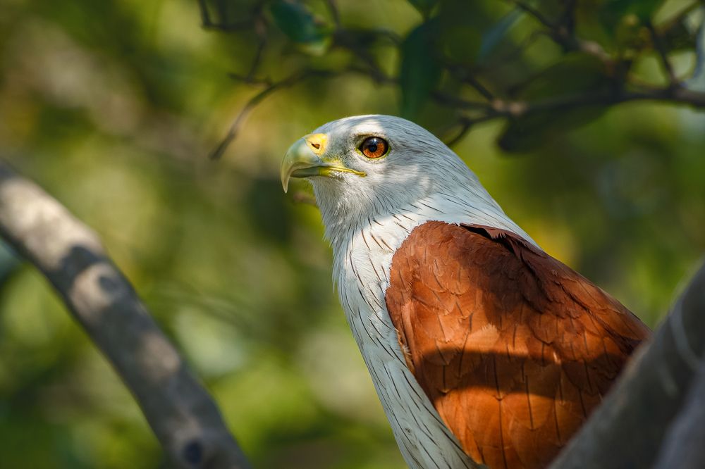 Photograph by Neeraj Gade