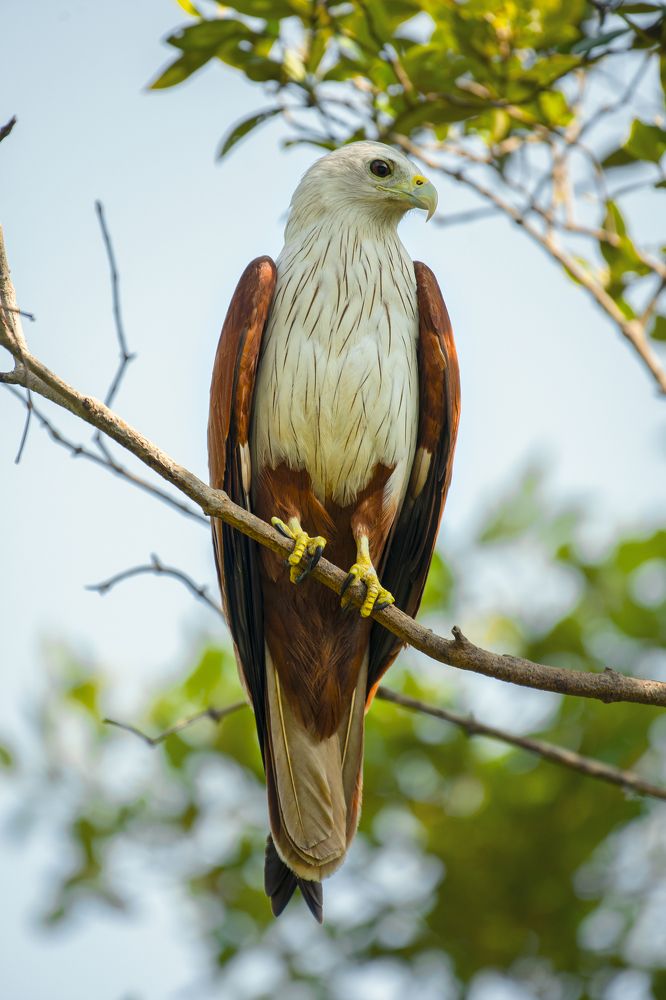 Photograph by Neeraj Gade