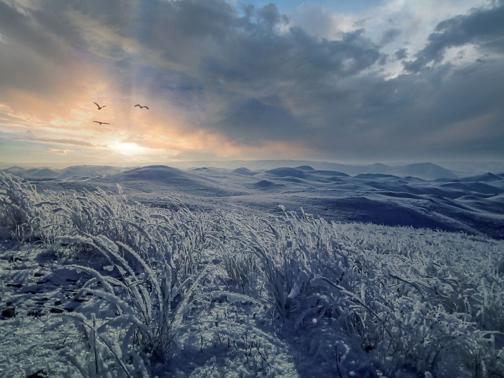 Photograph by Антон Косырев