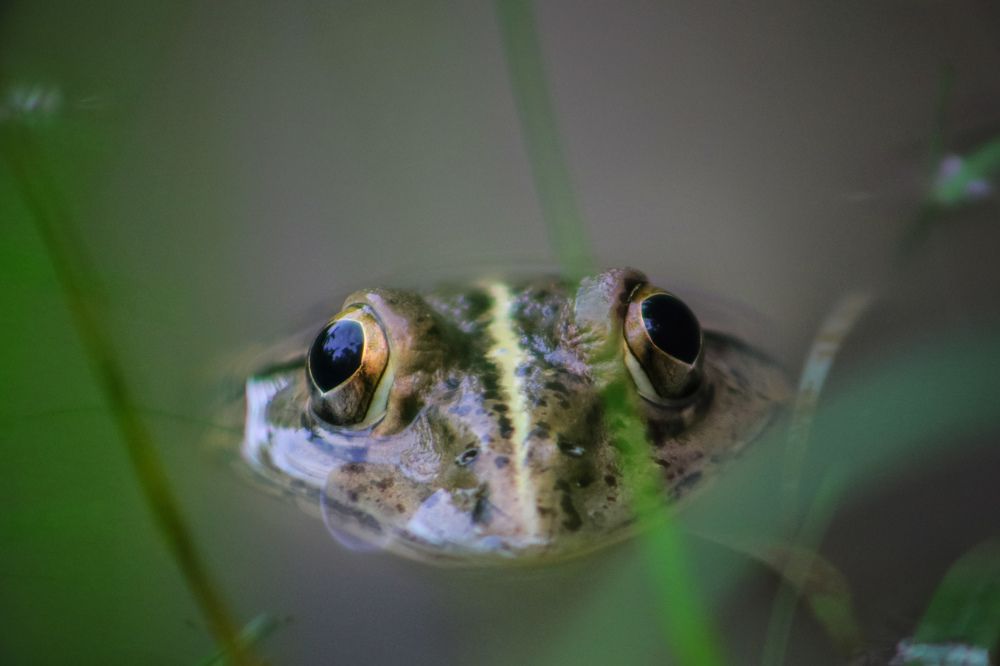 Photograph by Masum Mr