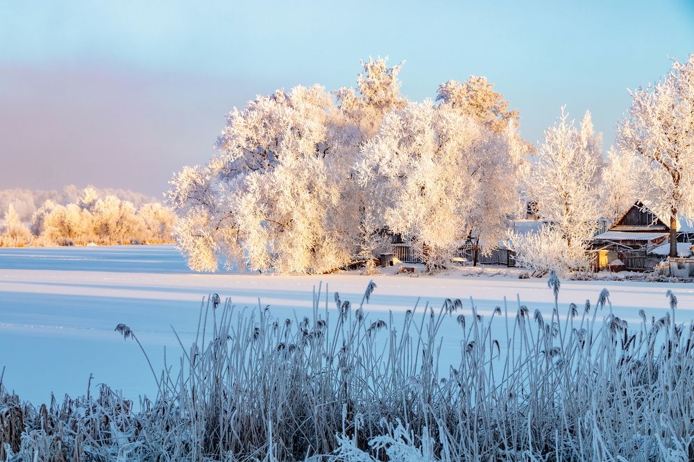 Photograph by SIARHEI RABCHONAK