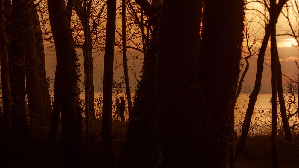 Photograph by Дмитрий Лоскутов