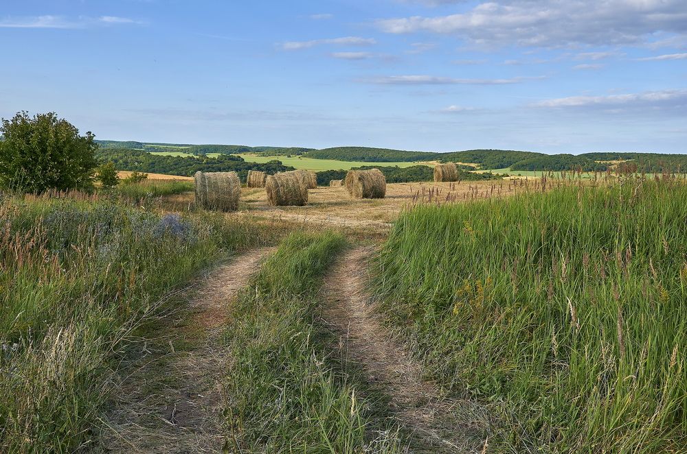 Photograph by Олег Архипов