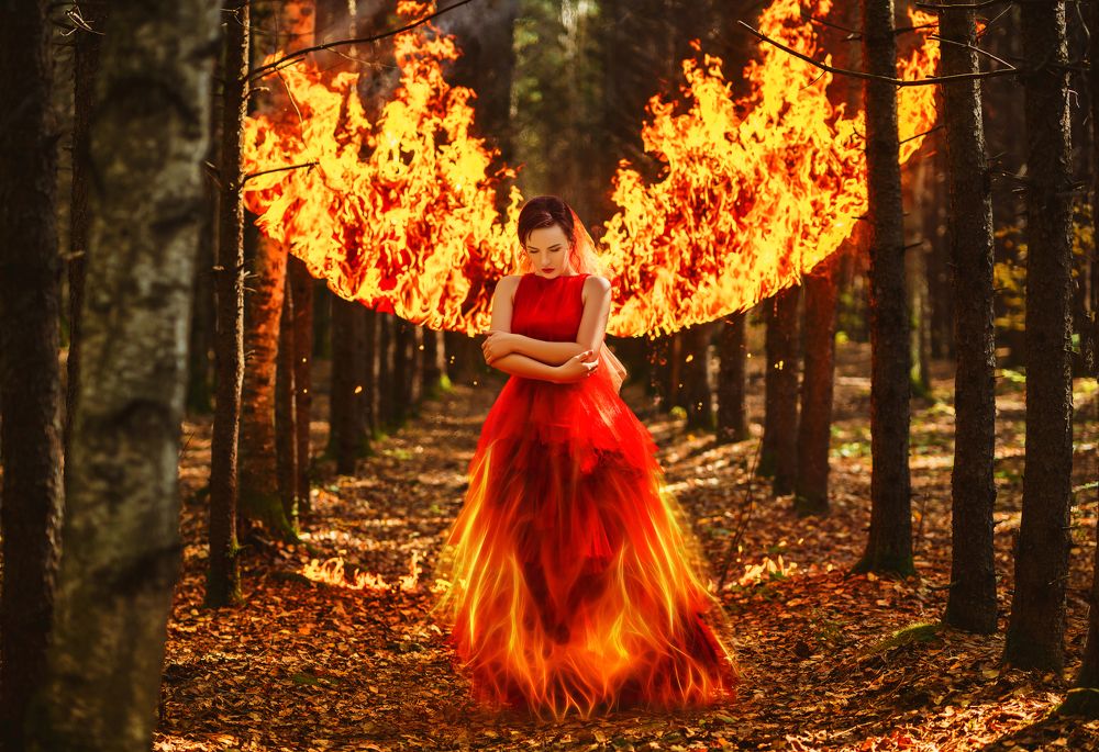 Фотография автора Диана Липкина