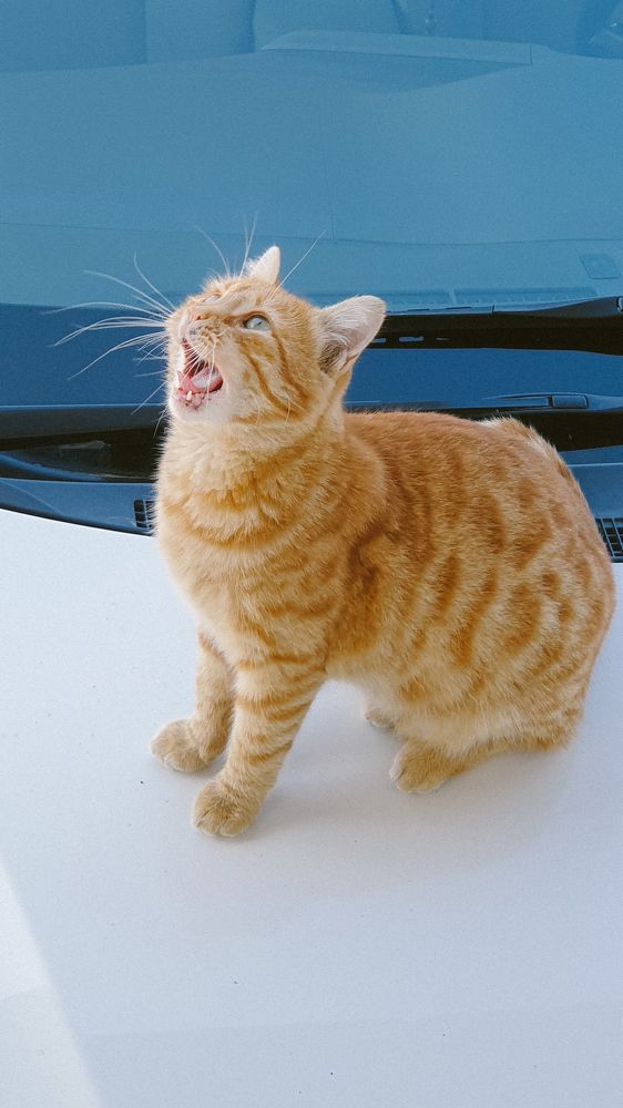 Фотография автора Людмила Абдина