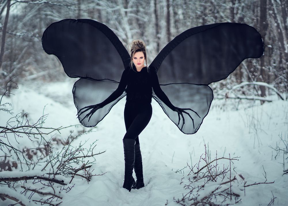 Фотография автора Диана Липкина