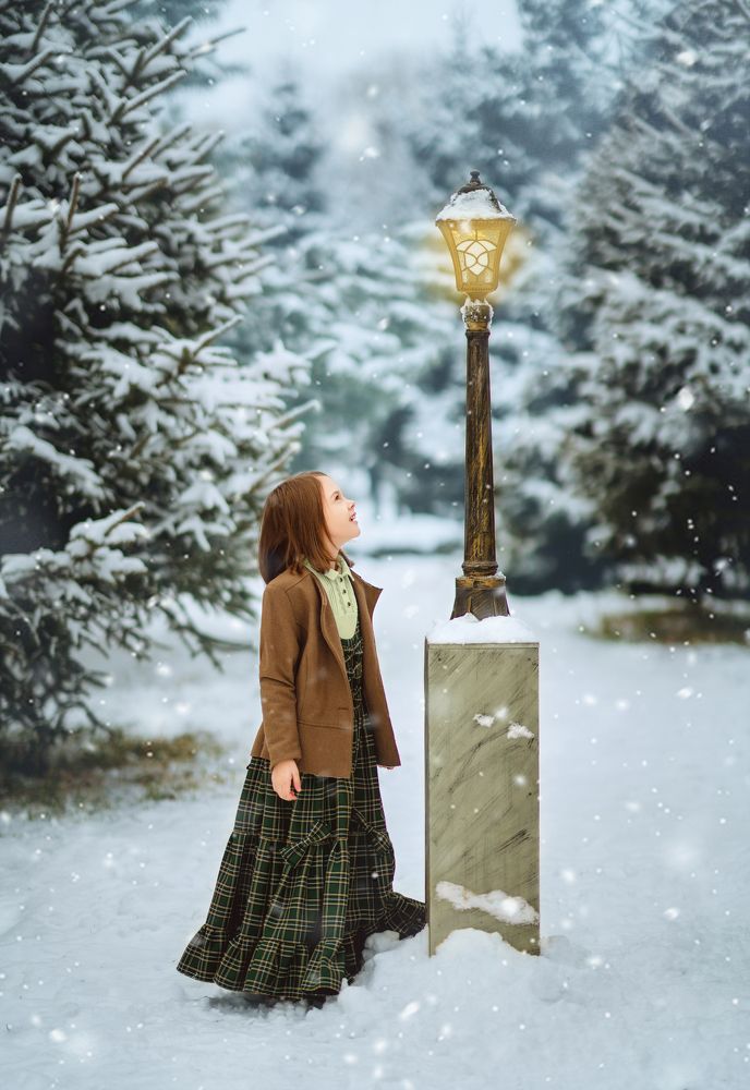 Фотография автора Диана Липкина