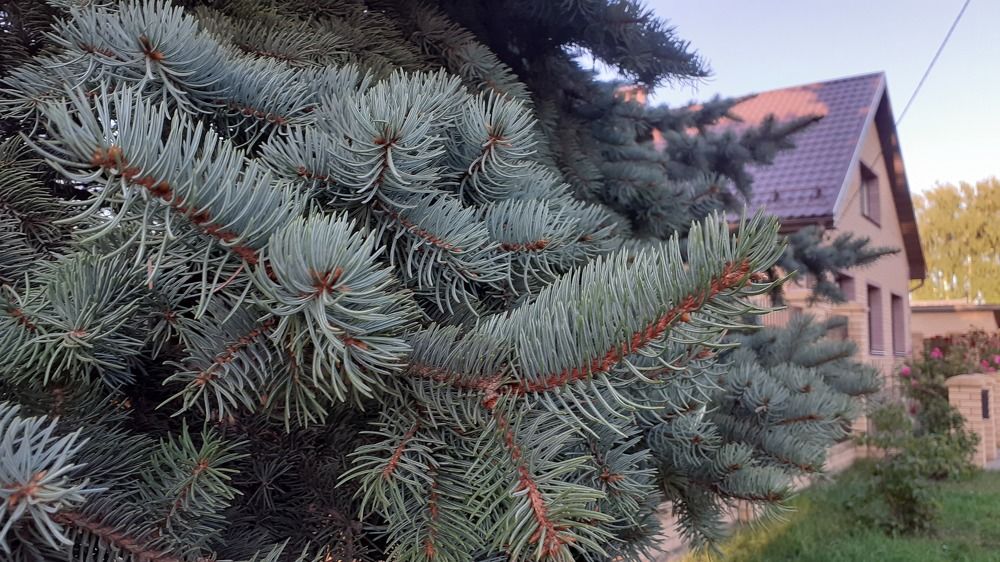 Photograph by Елена Лещева