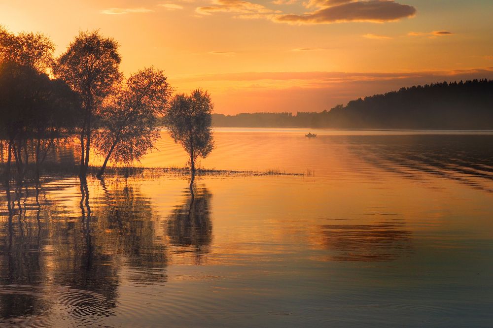 Photograph by Яр Ник