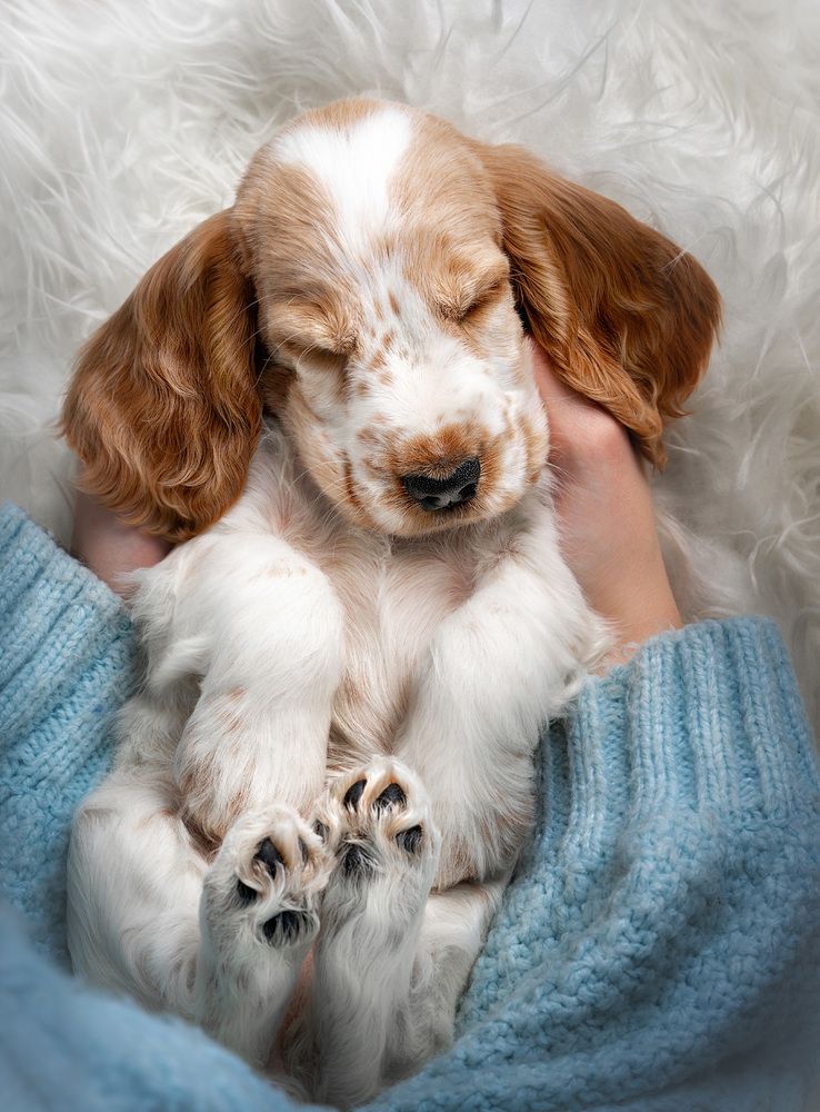 Фотография автора Оксана Серова