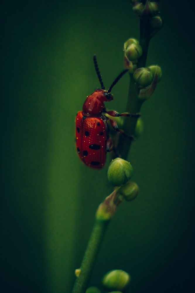 Photograph by Мария Бузыцкая