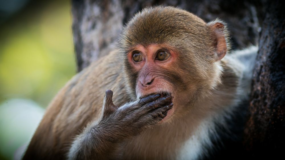 Oops!...Did I say something wrong?