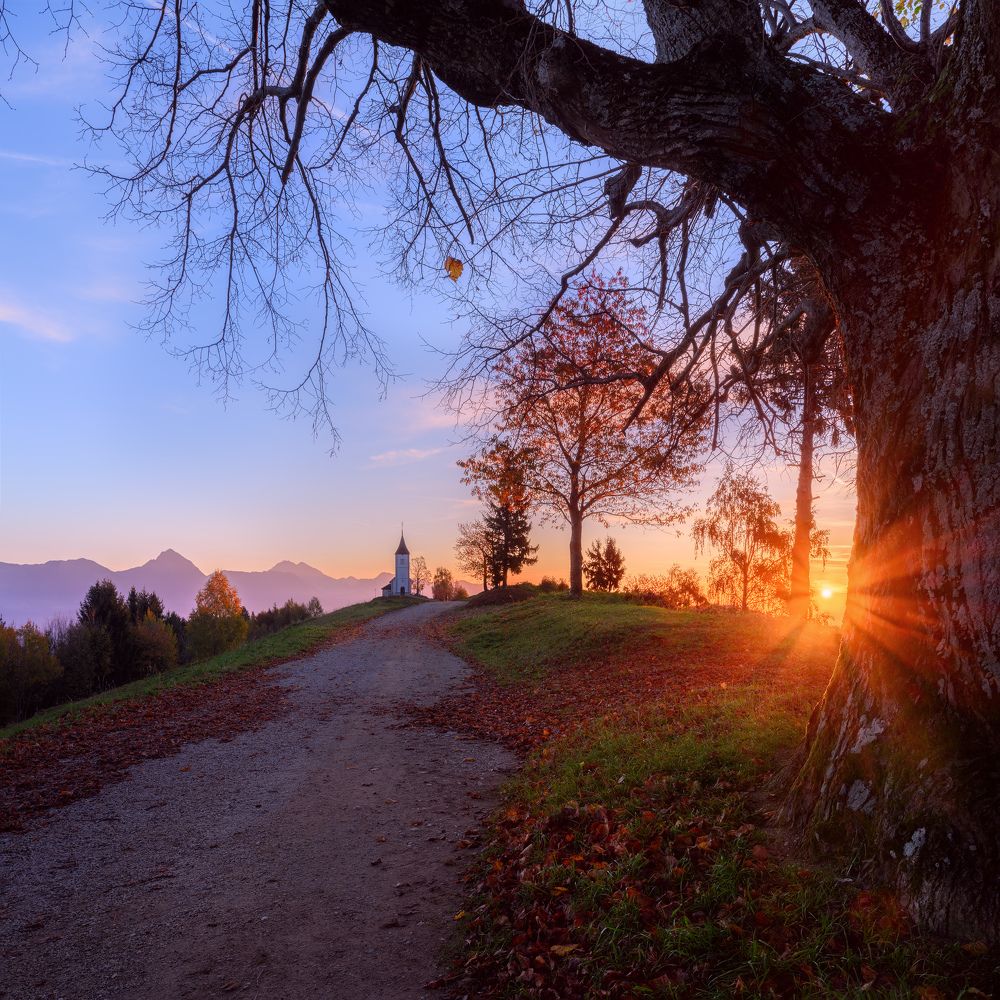 Photograph by Konstantin Voronov