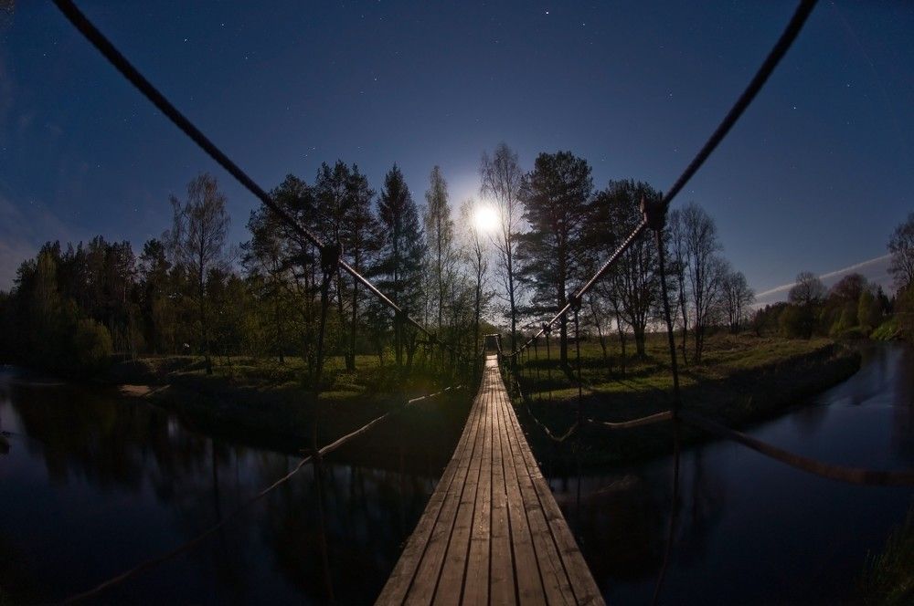Photograph by 