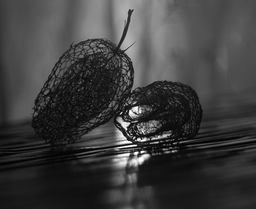 Photograph by Илона Краус