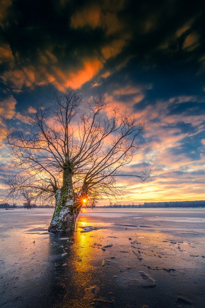 Photograph by 