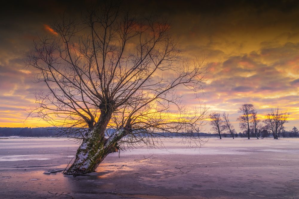 Photograph by Dariusz Budyta