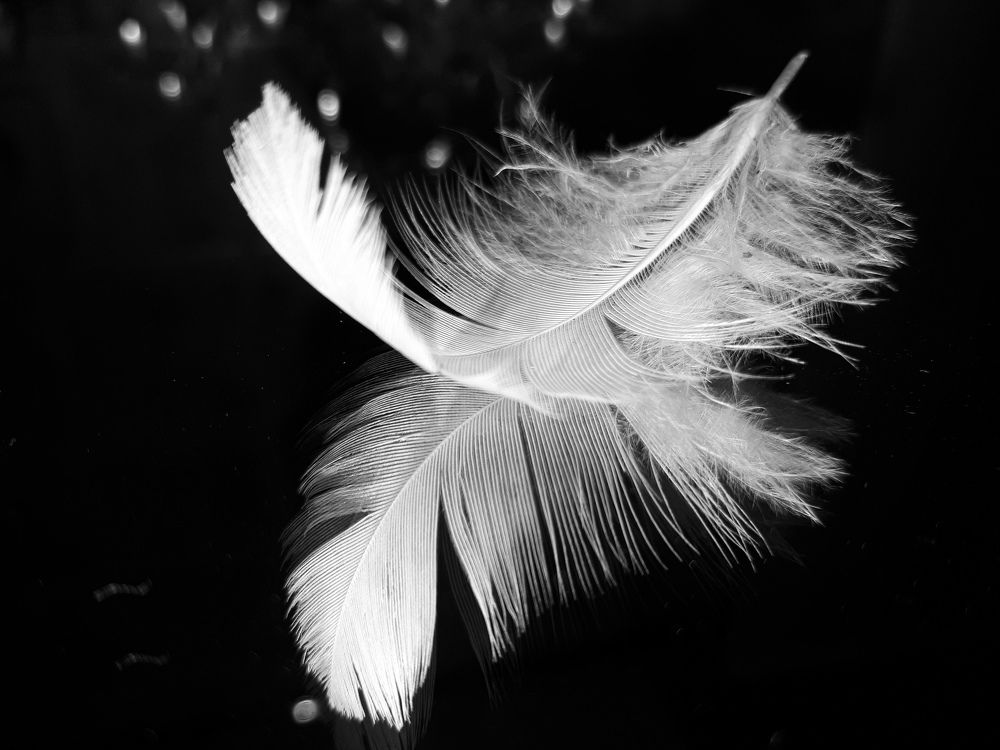 Photograph by Анна Кабиева