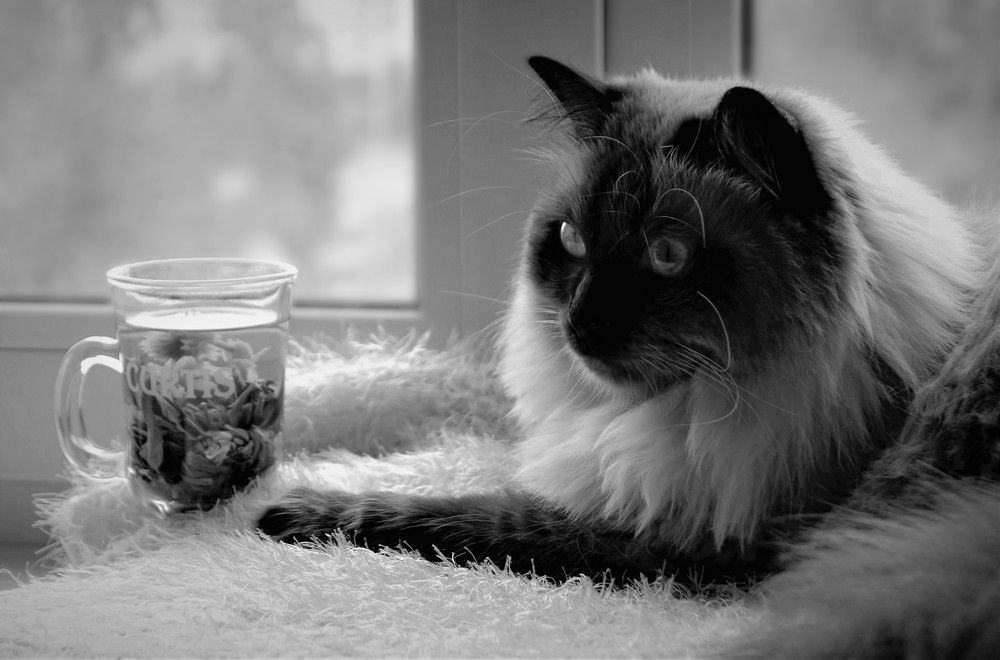 Фотография автора Валентина Гундарева