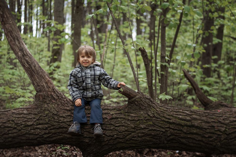 Прогулка в лесу