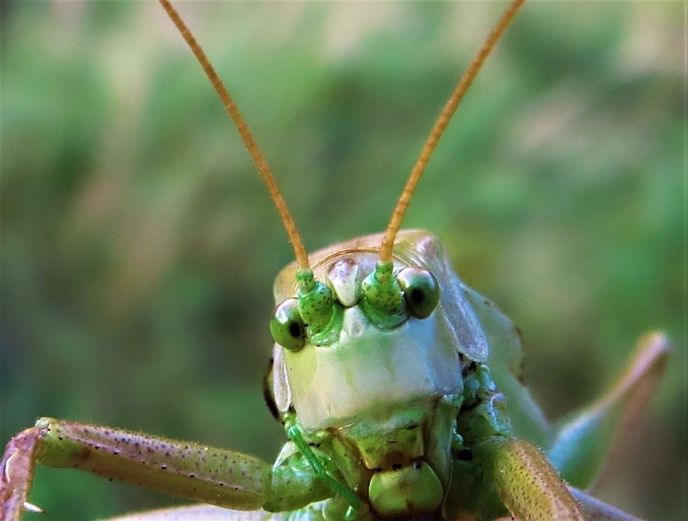 Photograph by Екатерина Салий