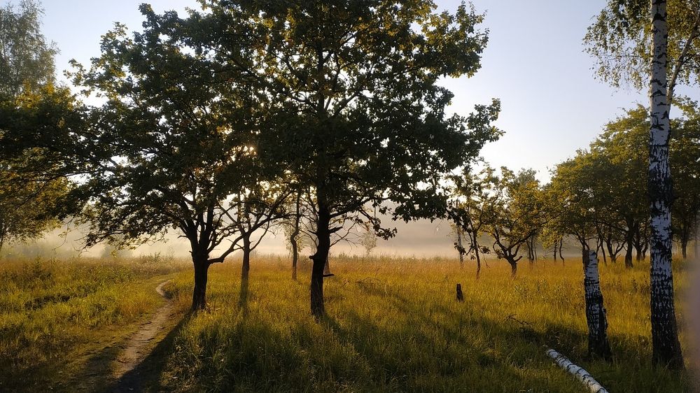 Photograph by Максим