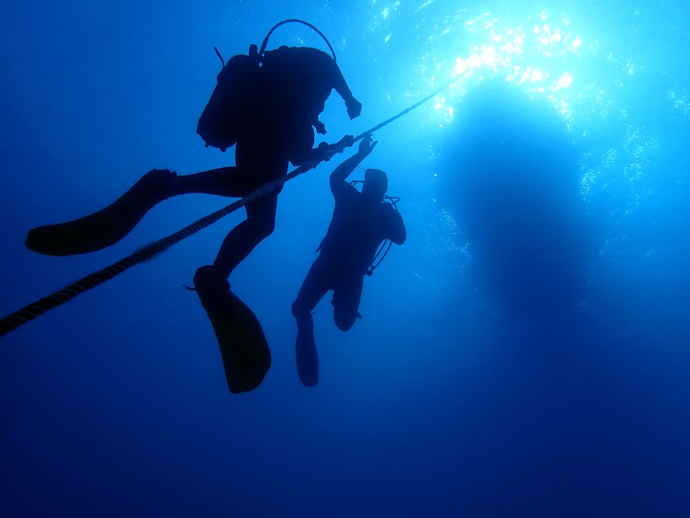 Photograph by Алексей Амилющенко