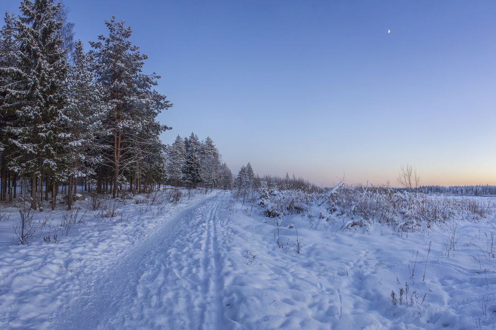Photograph by Вячеслав Булатов