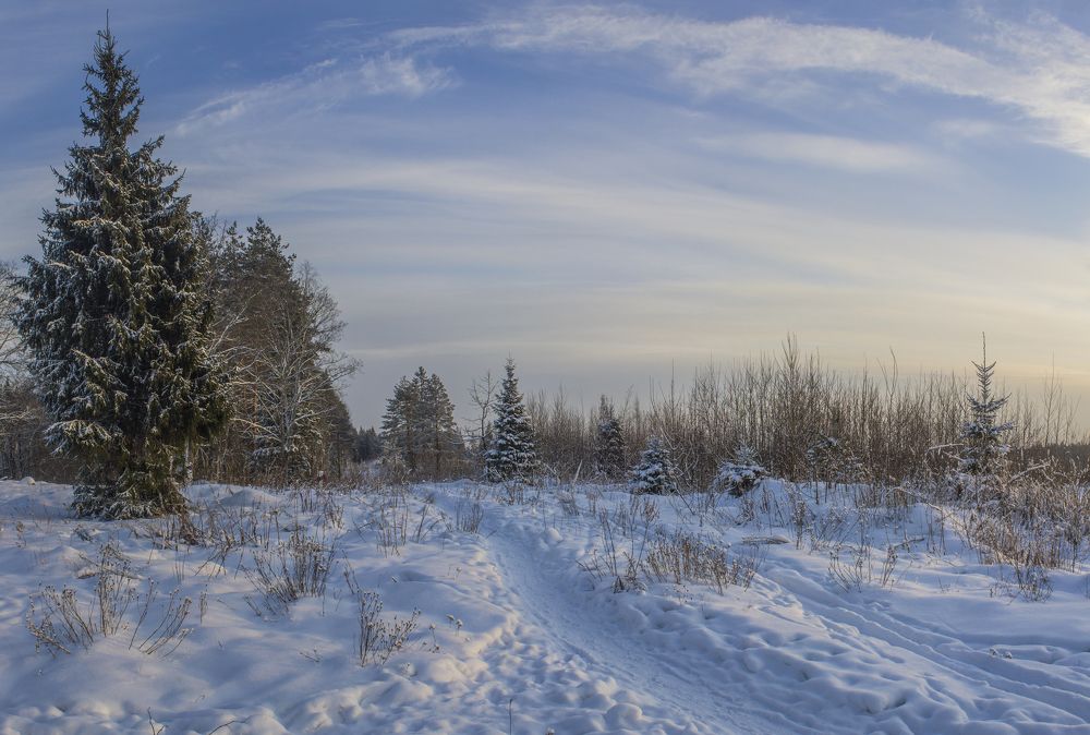 Photograph by Вячеслав Булатов