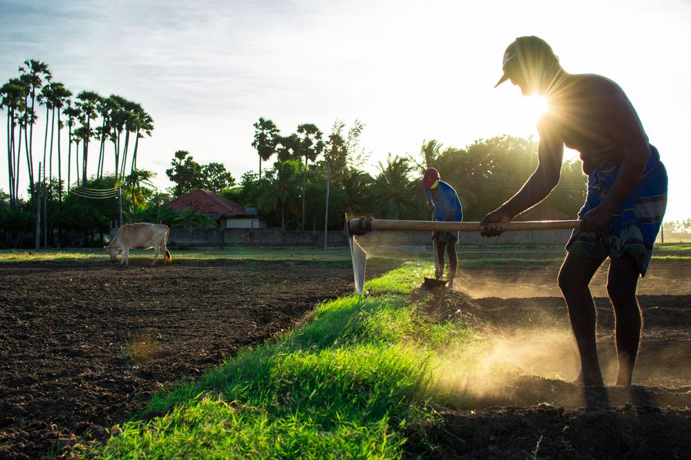 Photograph by Diluckshan Puviraj