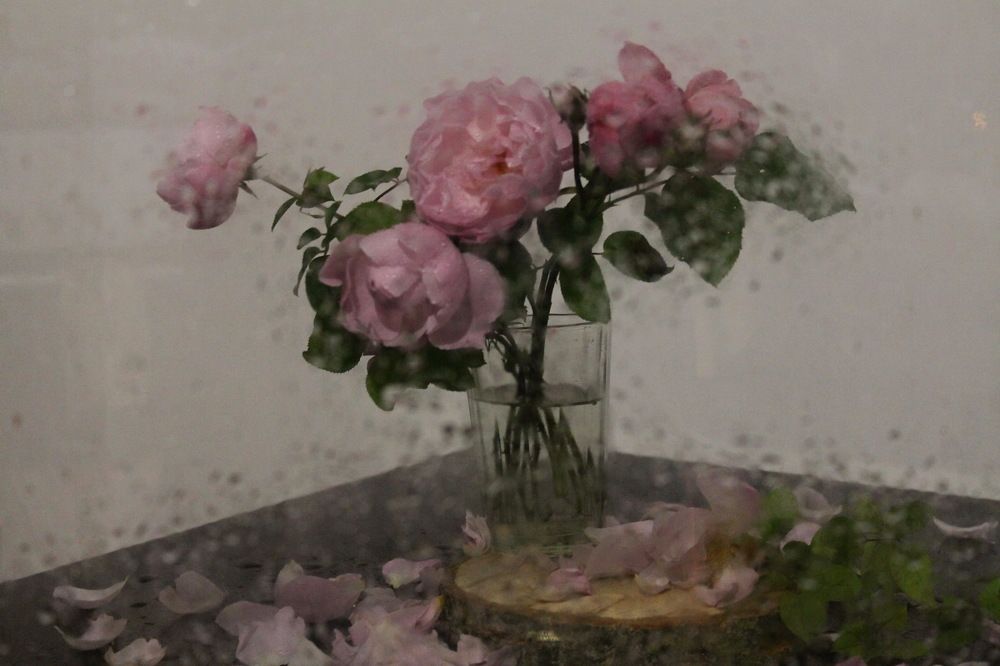 Photograph by Татьяна Яворская