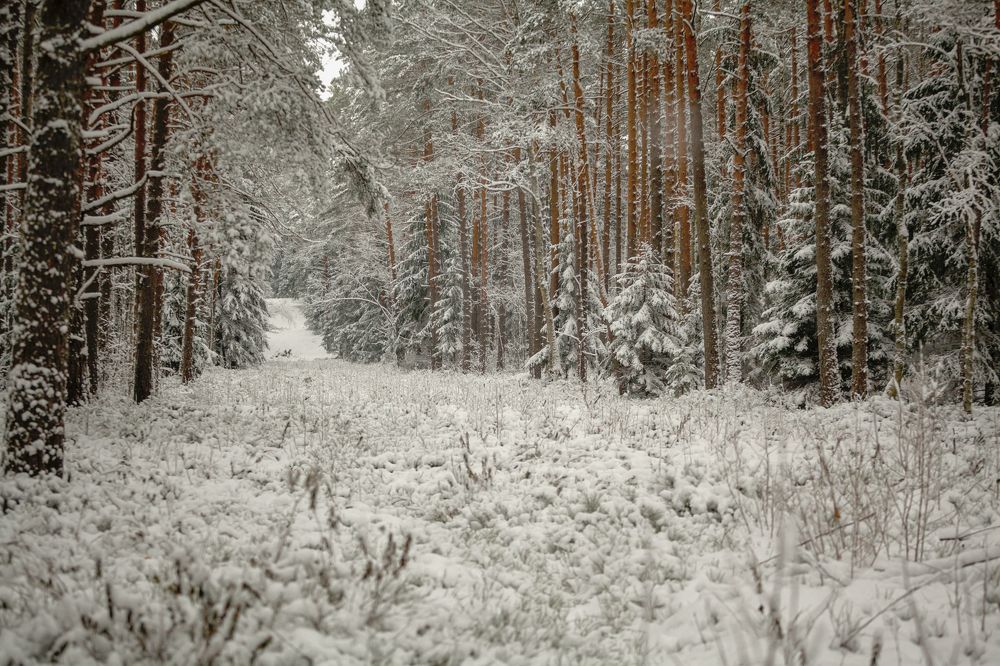 Синие горы Огре