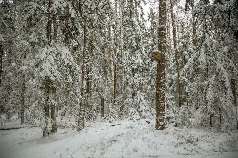 Синие горы Огре