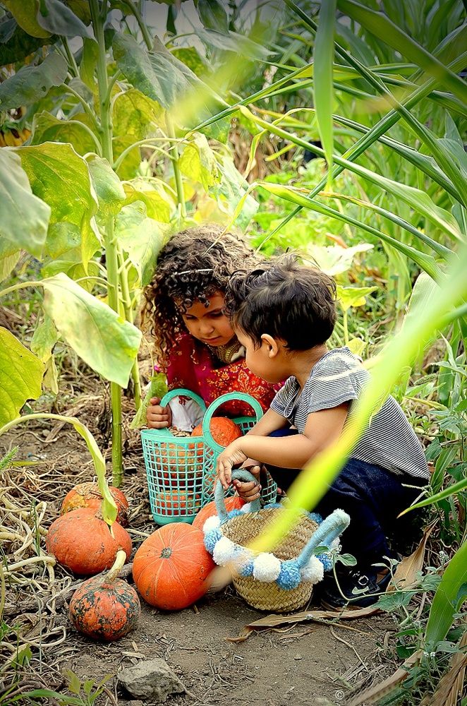 Photograph by Rached Zarraï Miladi