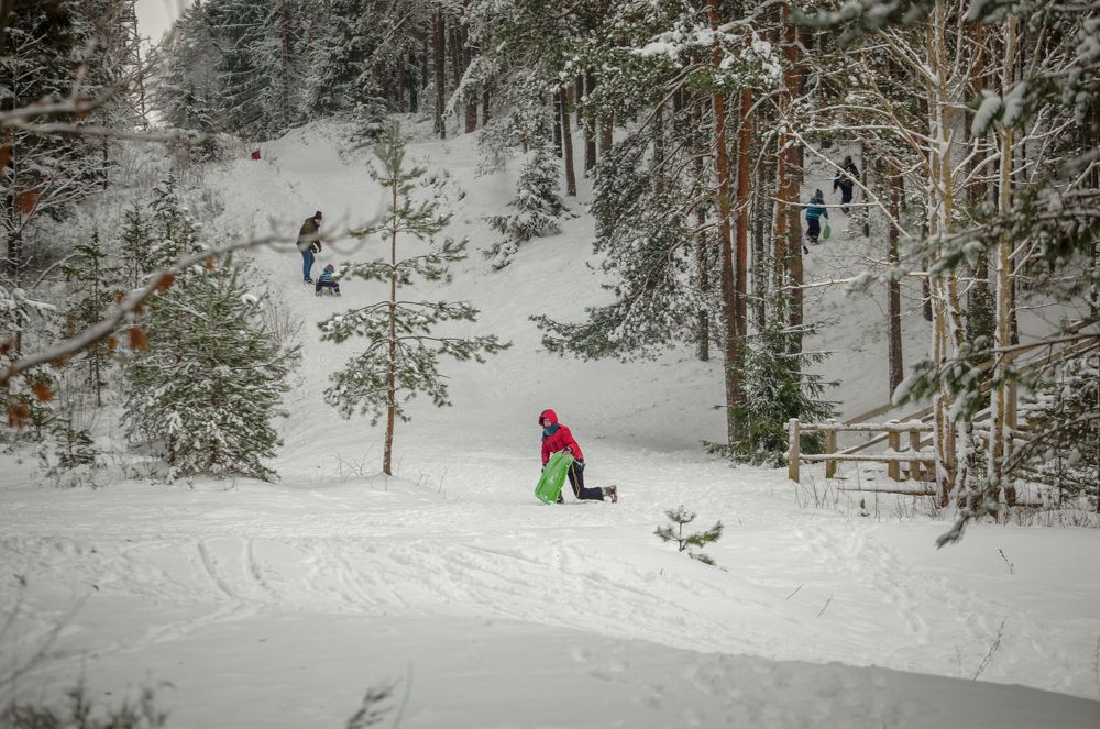 Photograph by Janetta Sereda