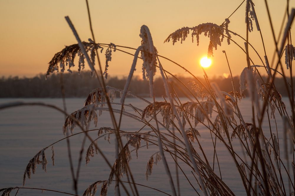 Photograph by Janetta Sereda