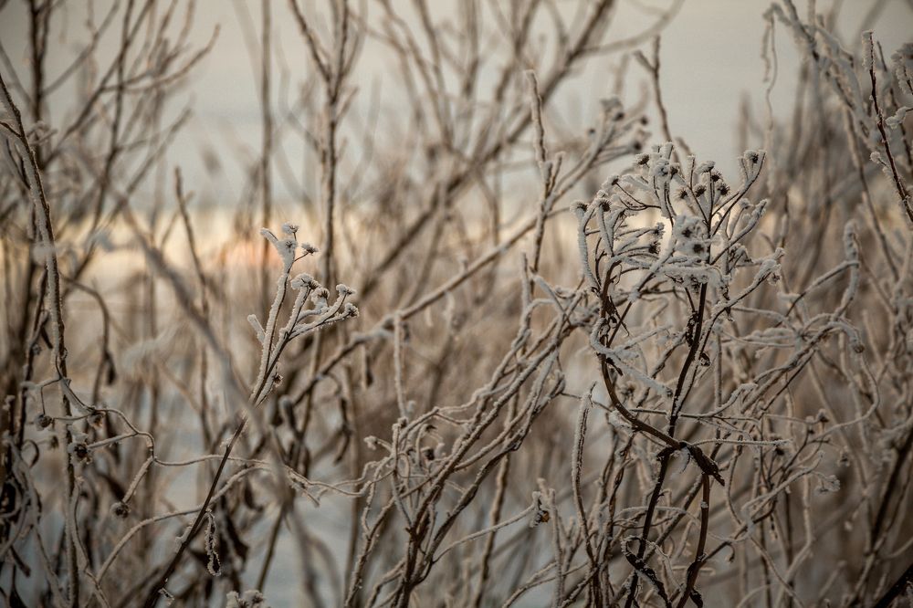 Photograph by Janetta Sereda