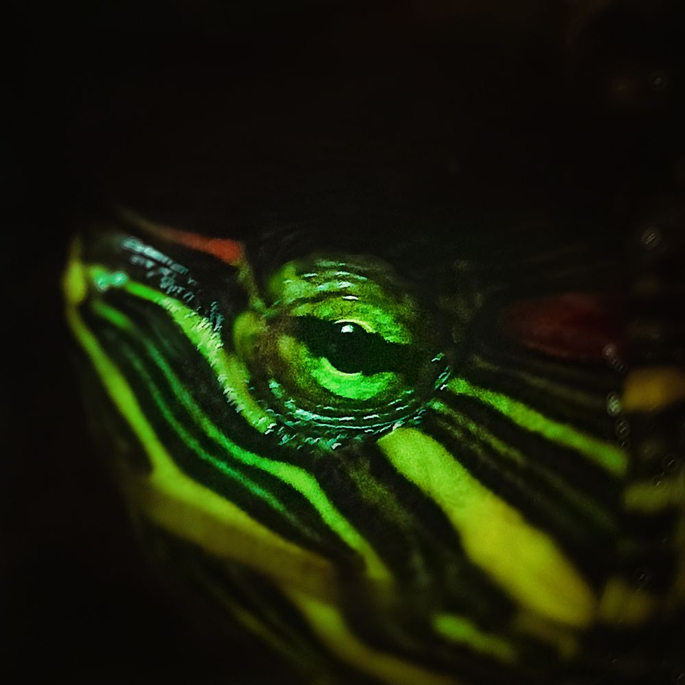 Photograph by Марина Суворова