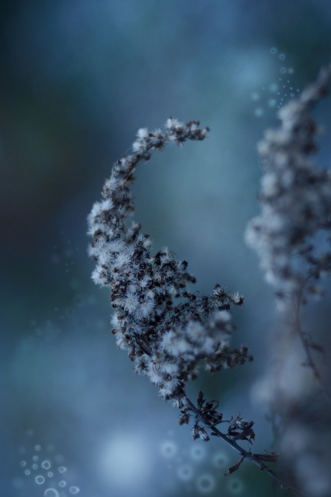 Окунуться в сказку